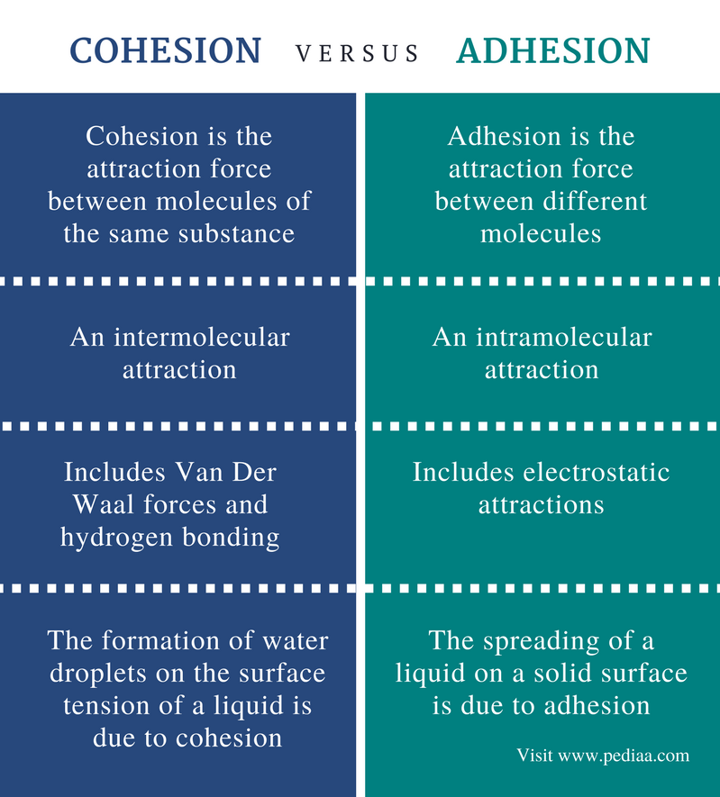 Cohesion 1 clearance