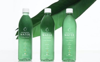 Spring Water Company Switches to Water-based Adhesive Labels For Improved Recycling