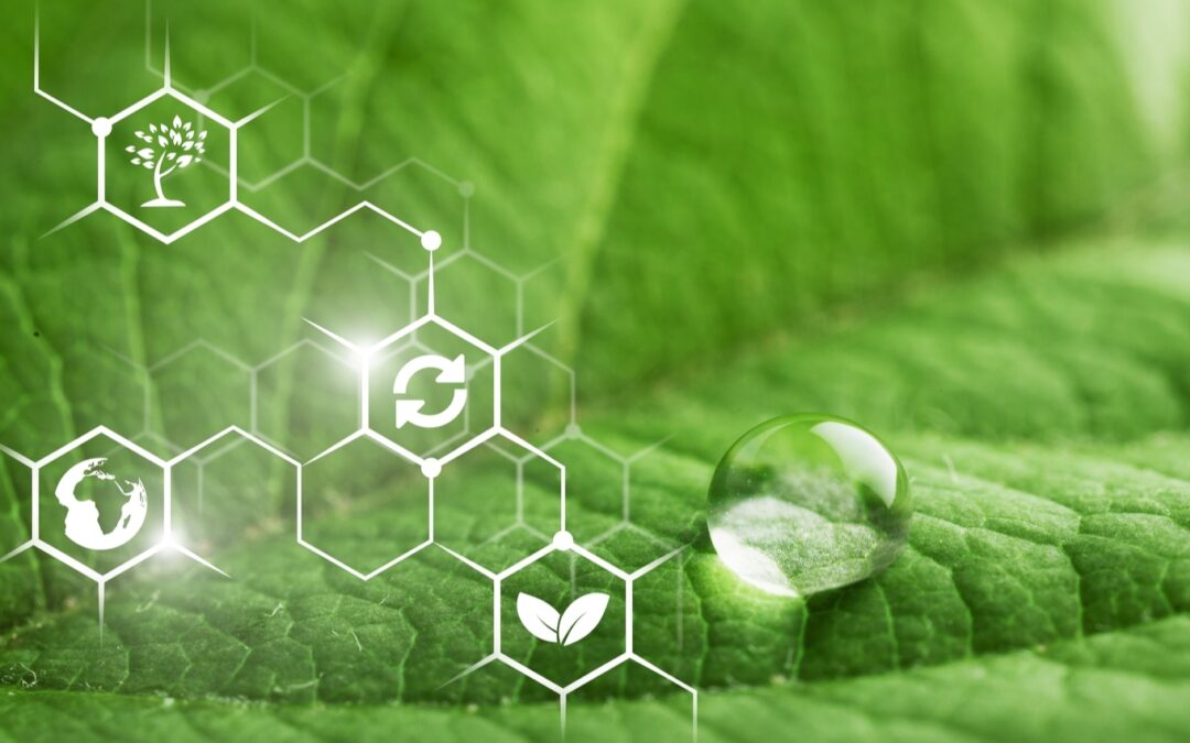 New Grade of 2-ethylhexanol (2-EH) With Renewable, Mass-Balanced Carbon Content