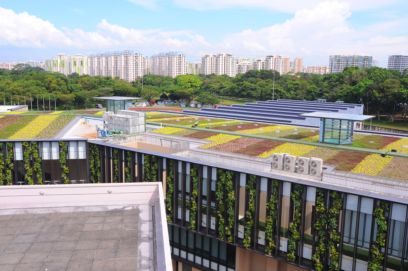 Snapshot of Fire-Resistant Green Roof Roof Sealants And Adhesives