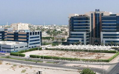 Adhesives Supply Expanding in the Middle East and North Africa with New RAKEZ Plant