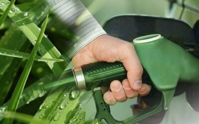 Bio-Based Butyl Acrylate Initiative Expands Renewable Raw Material Options